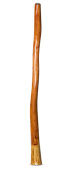 Peter Sherwood Didgeridoo (NV123)